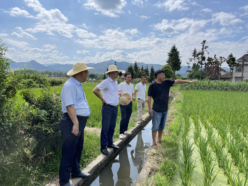 湖南容源溆浦2020年社會(huì)投資耕地(dì)占蔔平衡項目順利通過縣級驗收