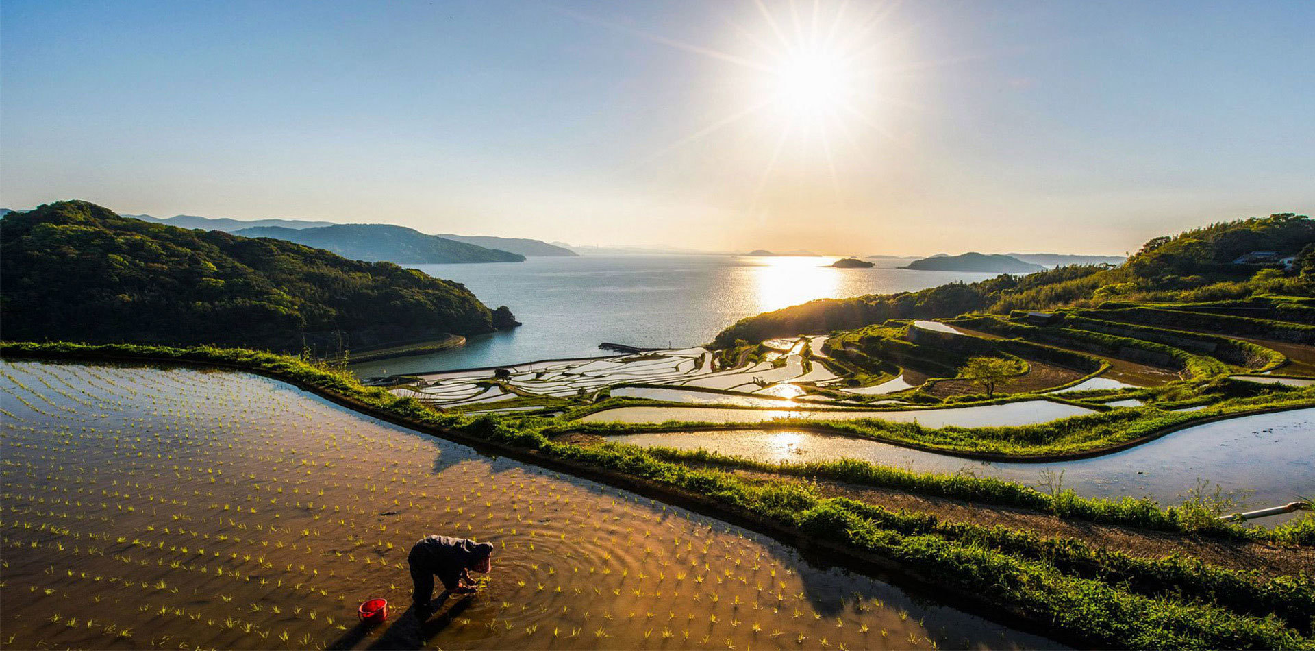 打造以 “鄉村振興産業(yè) + 旅遊” 和(hé) “全域土(tǔ)地(dì)綜合治理(lǐ)” 的(de)标志性行(xíng)業(yè)品牌， 開(kāi)創農(nóng)業(yè)農(nóng)村建設新局面